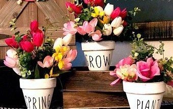 Terracotta Pots with Flowers