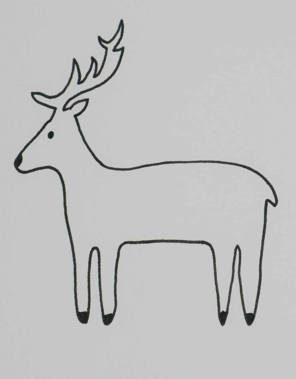 Deer