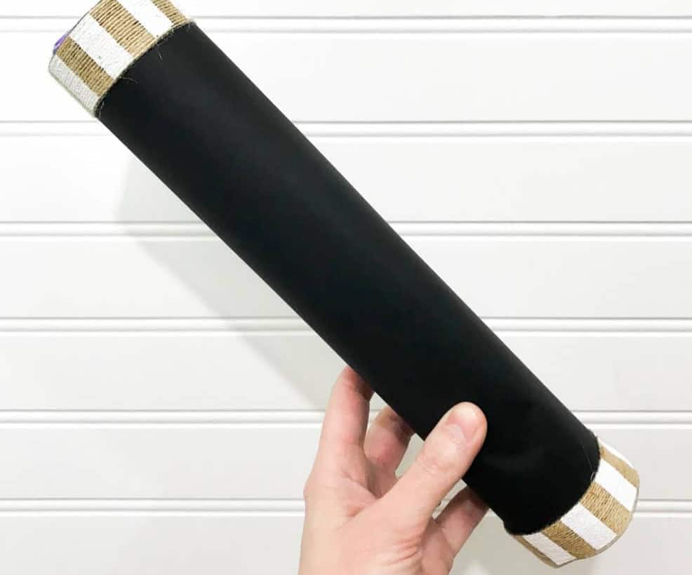 Paper Towel Roll Rainstick