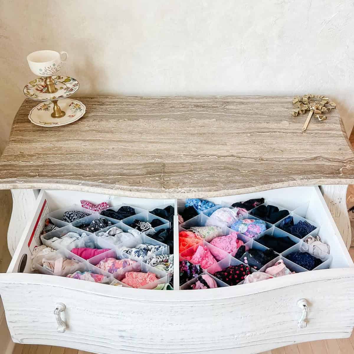 Closet Drawer Organizer