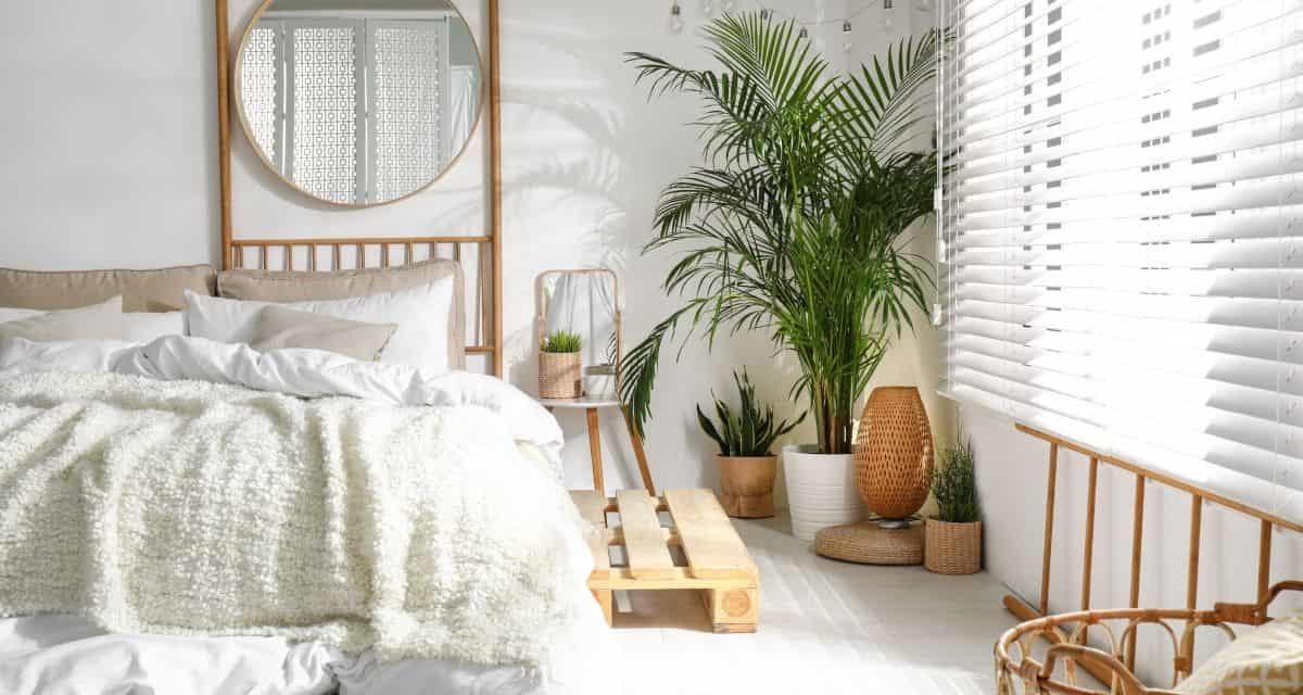 Stylish and modern interior with plants