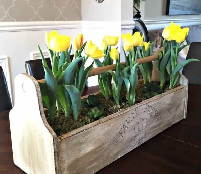 Egg Box with Tulips