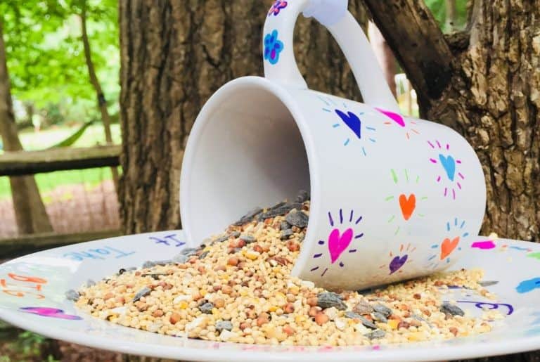 DIY Sharpie Mug Bird Feeder