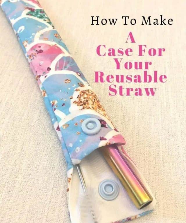 Reusable Straw Case