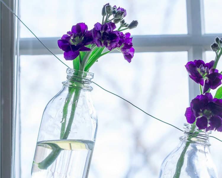 Bottle Garland