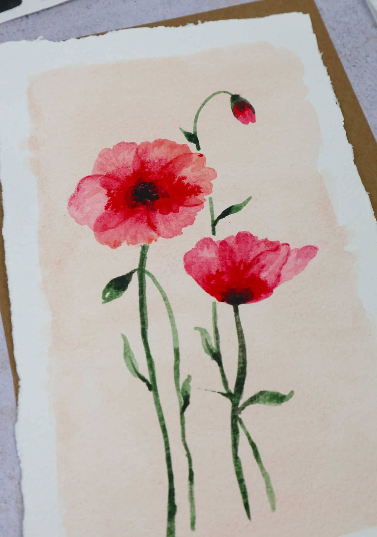 Poppies