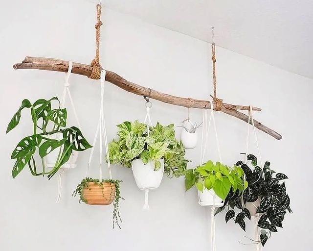 Decorative Hanging Plant Display