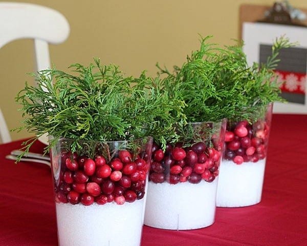 Mini Cranberry Display