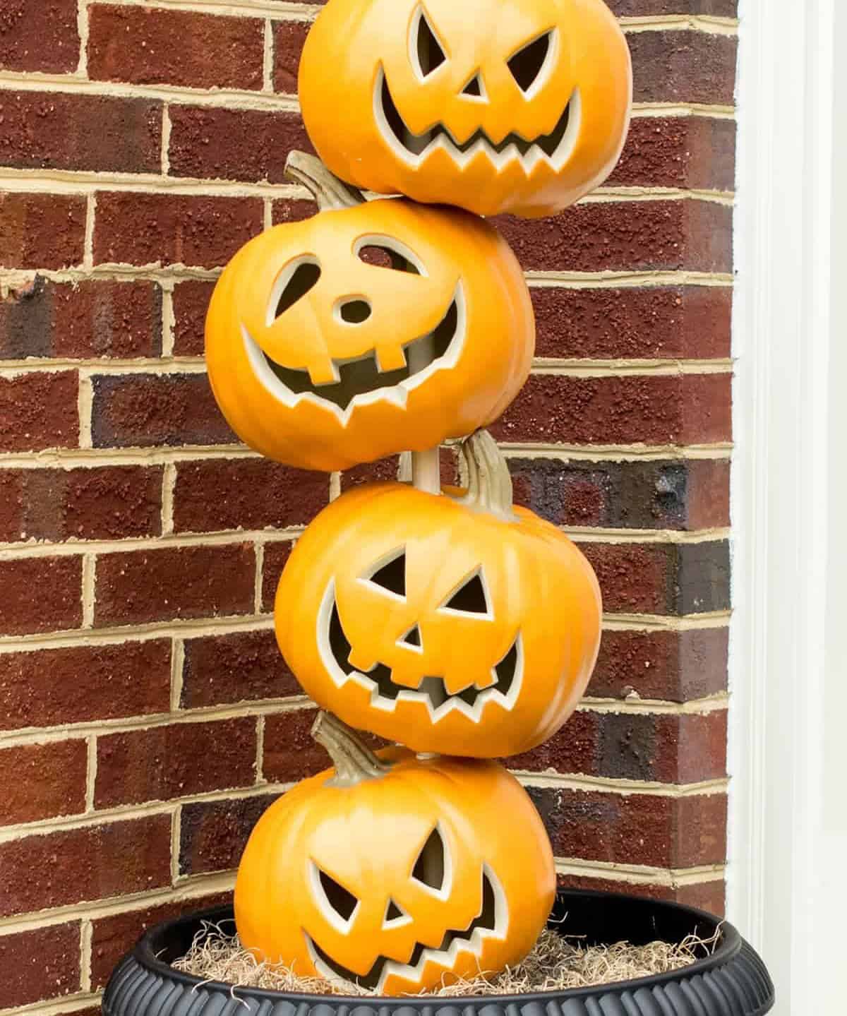 Pumpkin Topiary