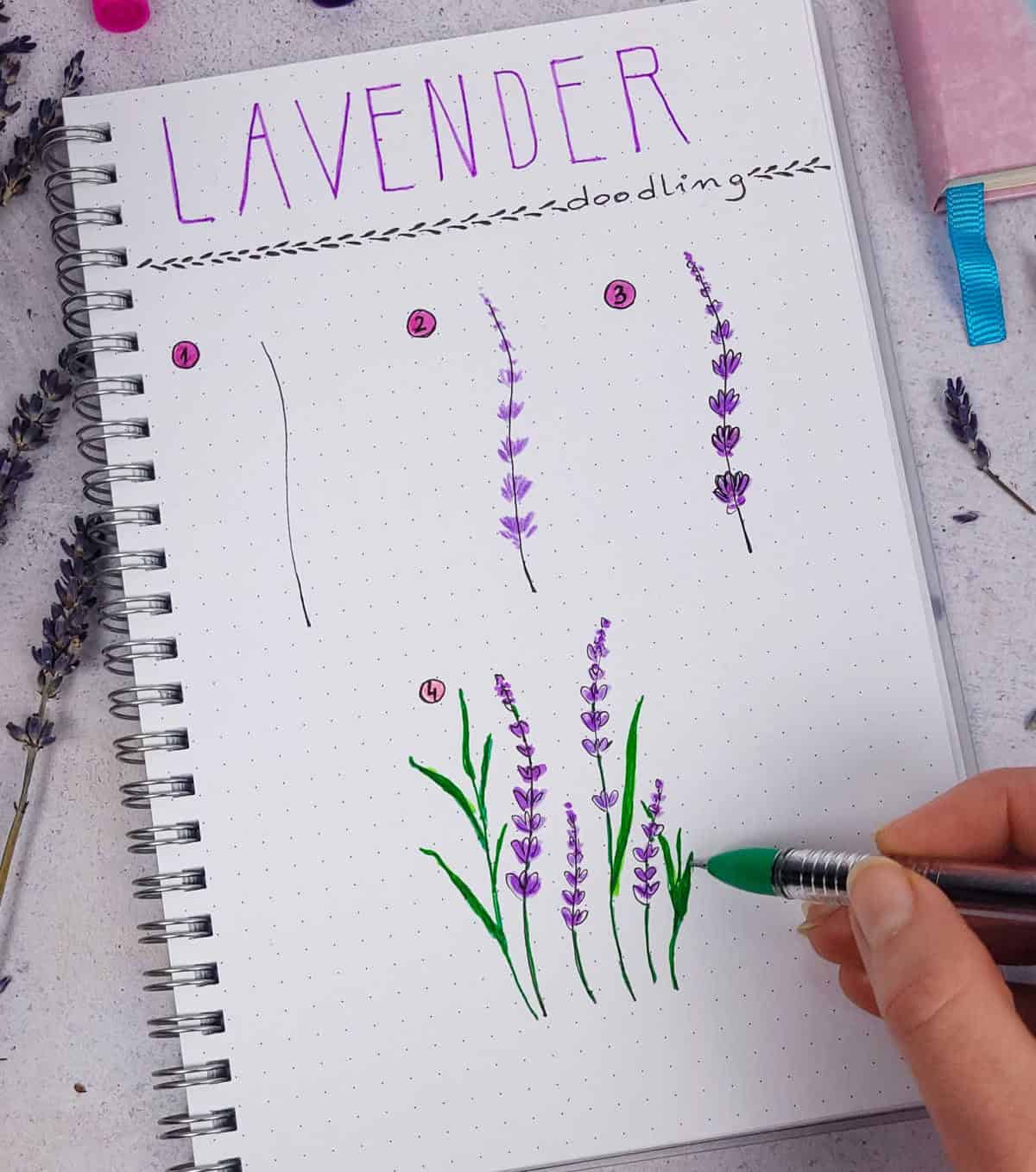 Lavender