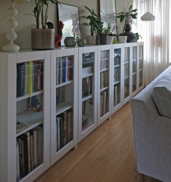 Low Bookshelf with Glass Door Panels