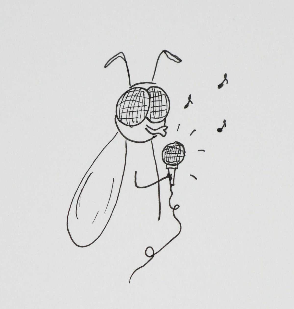 Fly Karaoke