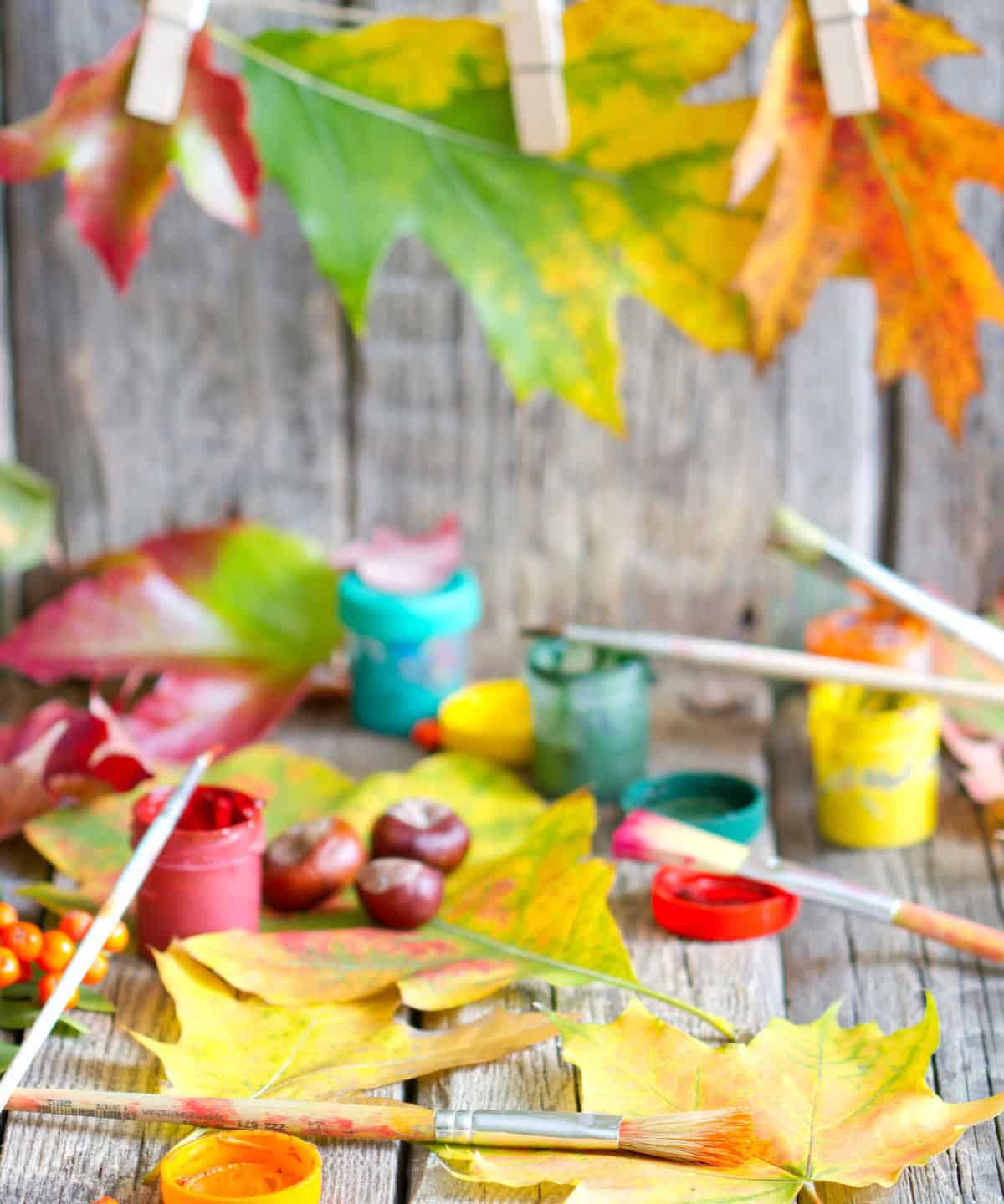 Nature Paint Brushes