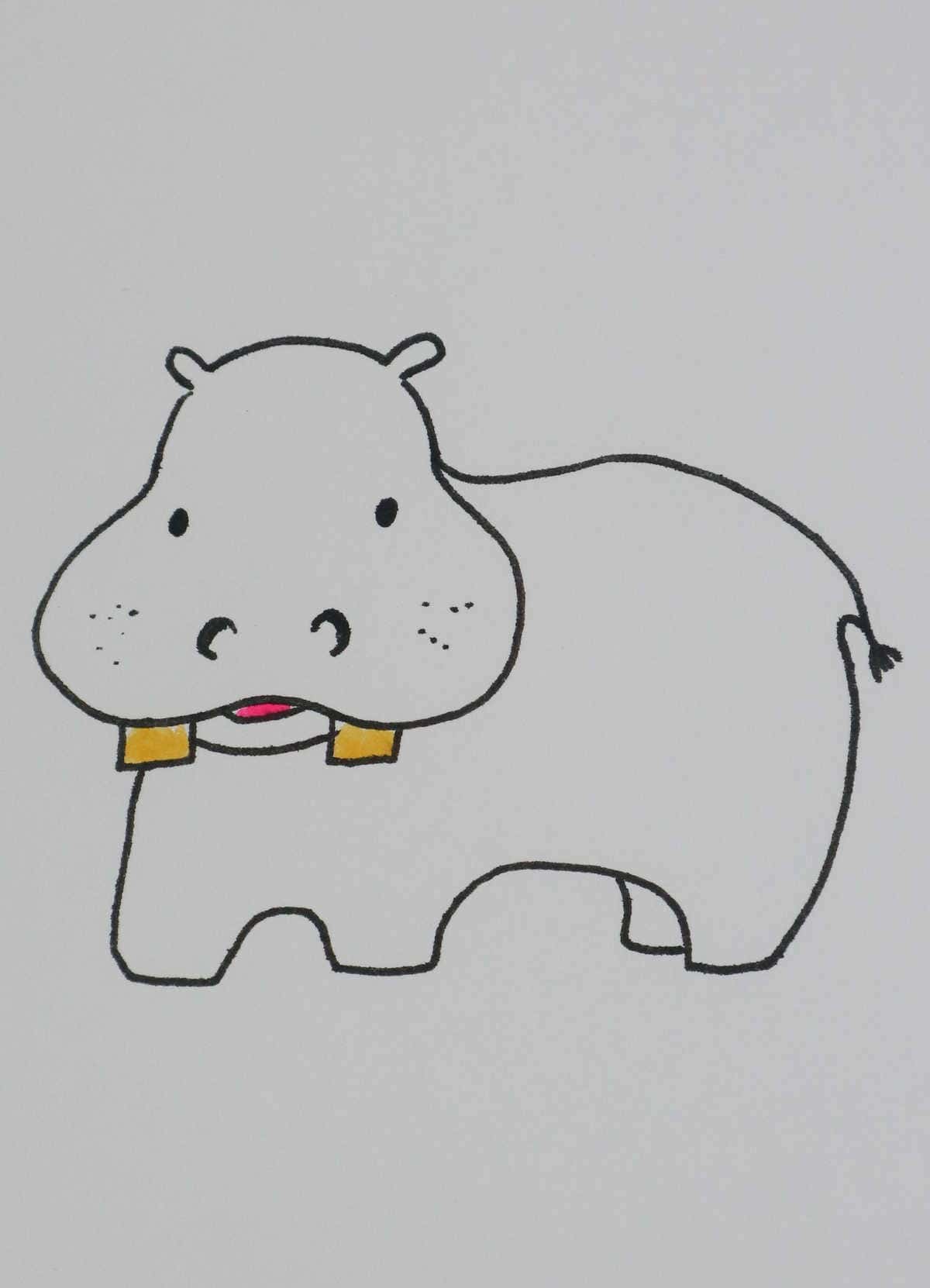 Hippo