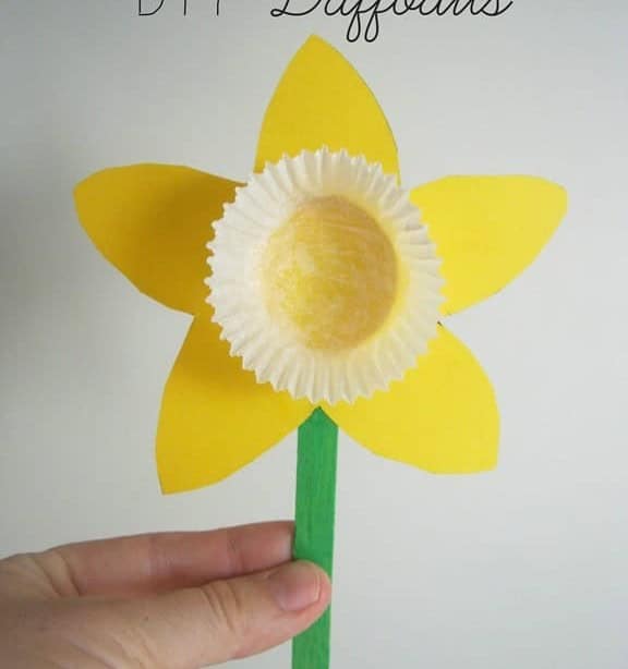 DIY Daffodils