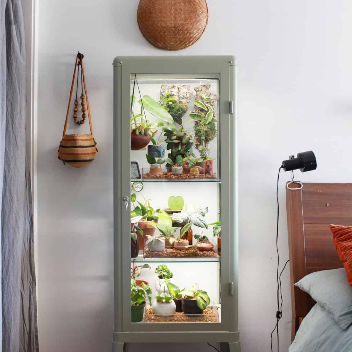 Cabinet Greenhouse