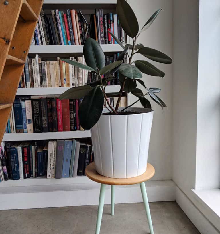 Mid-Century IKEA Plant Stand