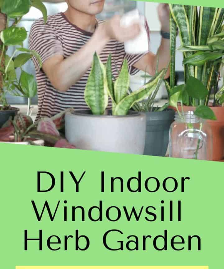 Indoor Herb Garden