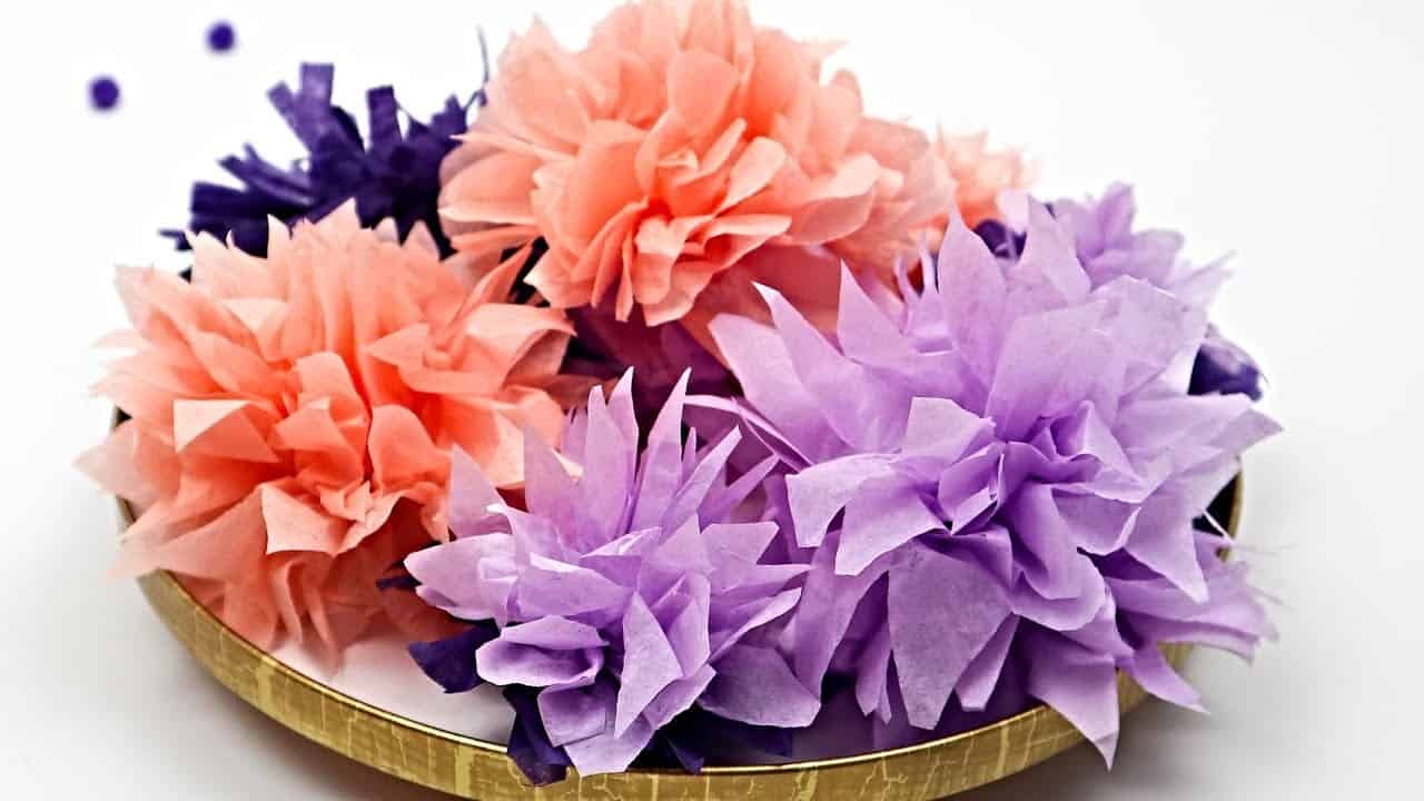 Watch: How to Make Tissue Paper Flowers