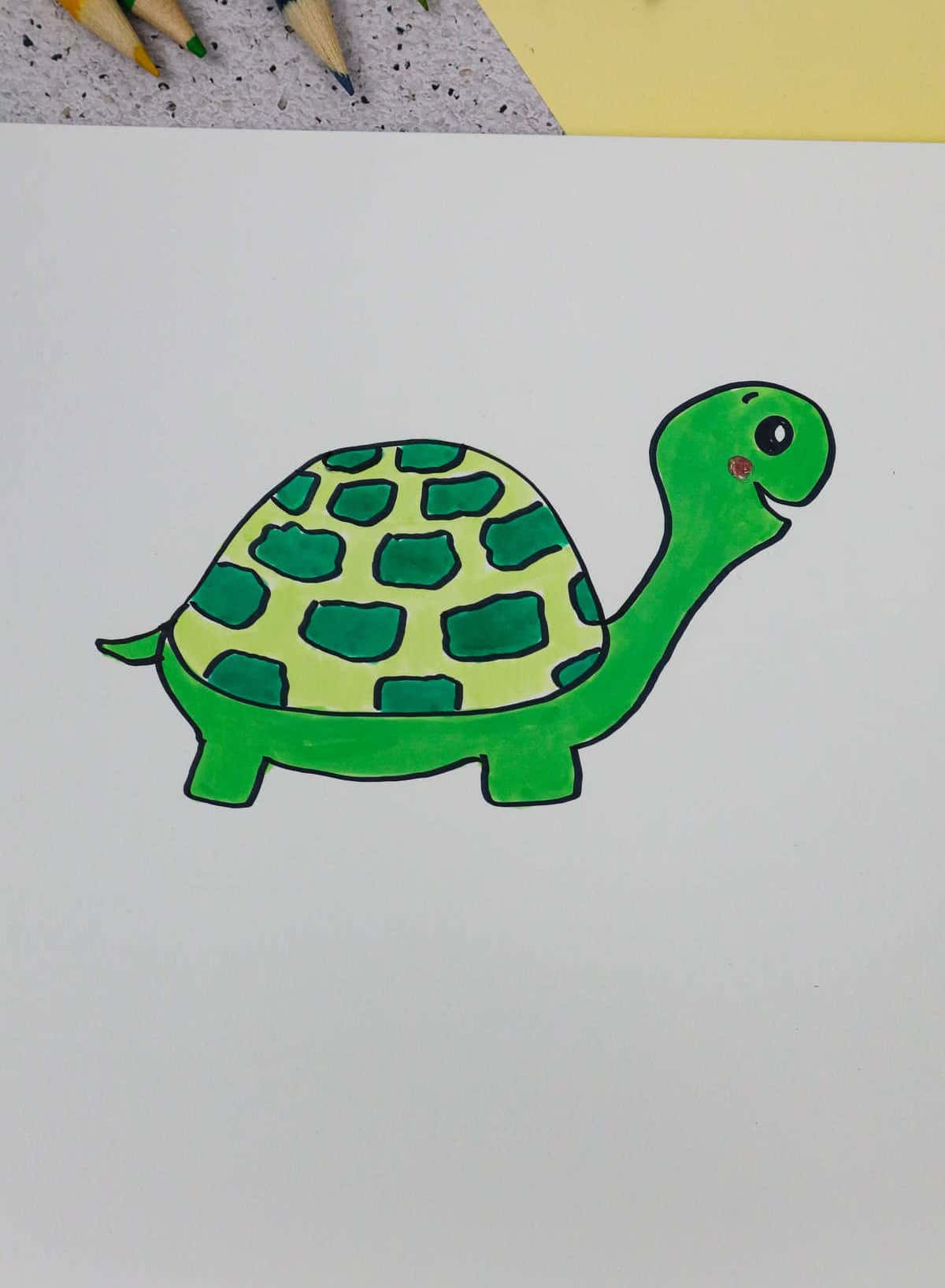 Turtle