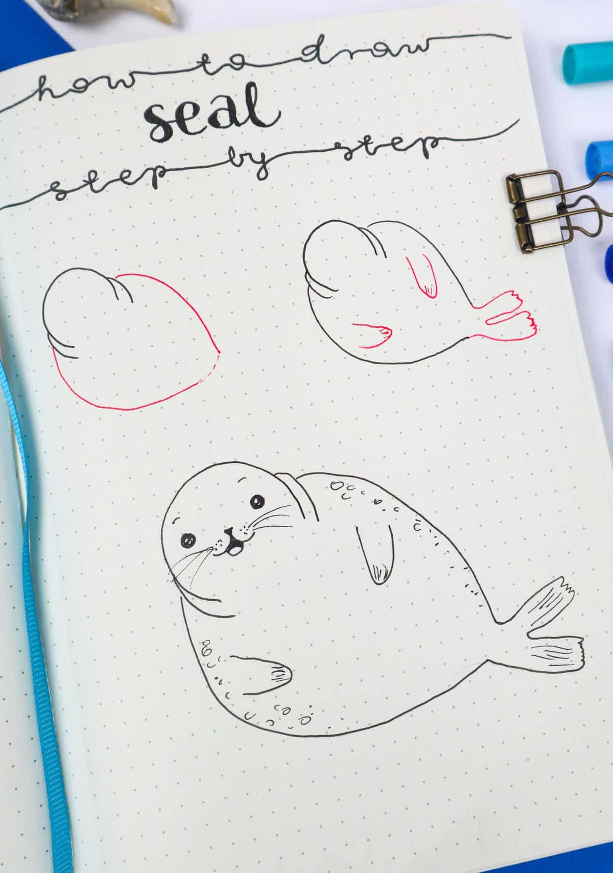 How to Draw a Seal Step-by-Step