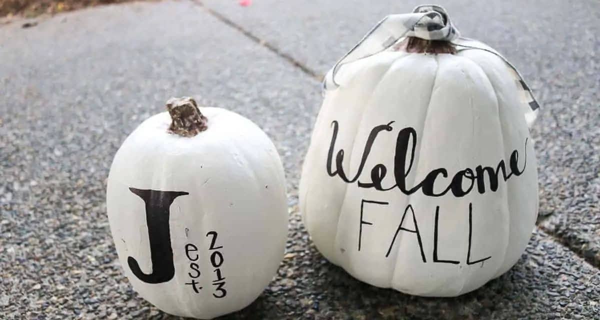 White Pumpkin Decor