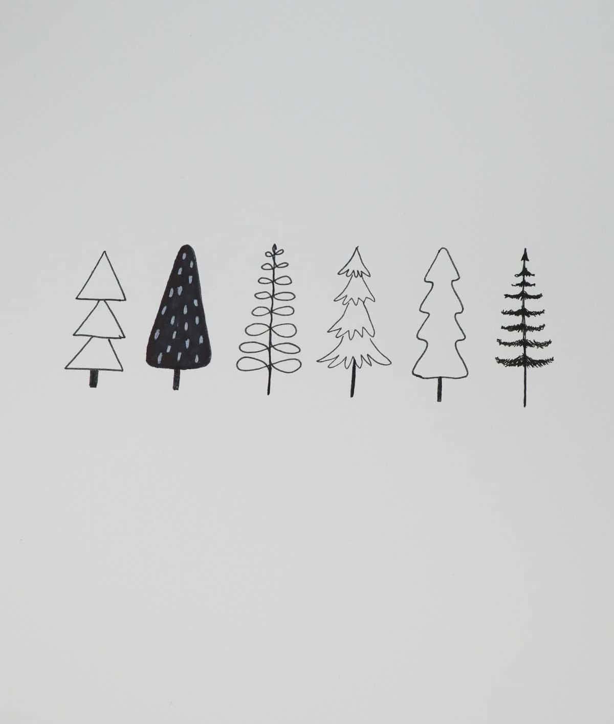 Evergreen Tree Line