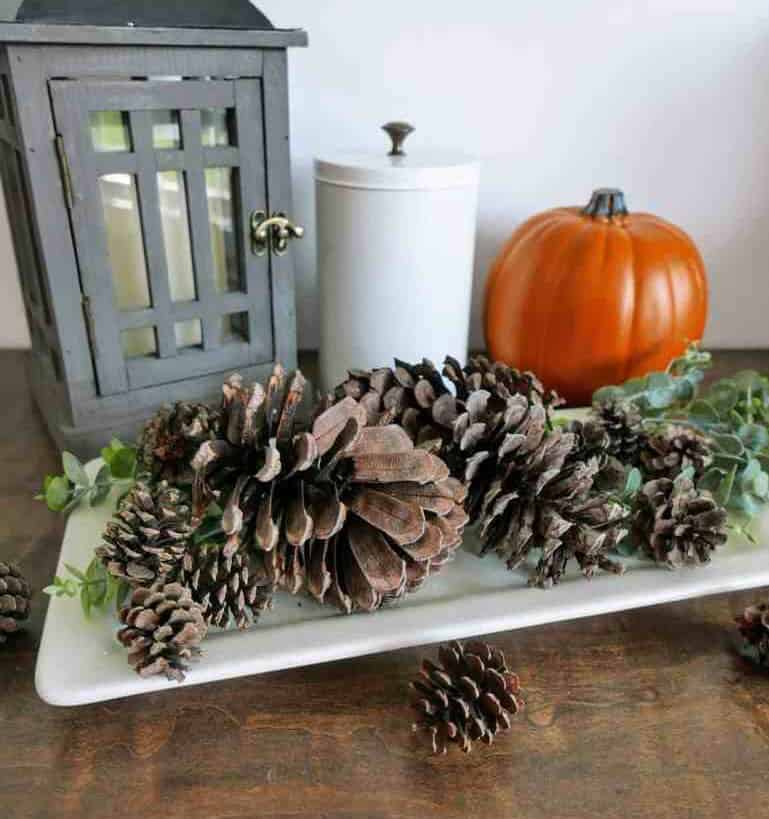 Cinnamon-Scented Pinecones