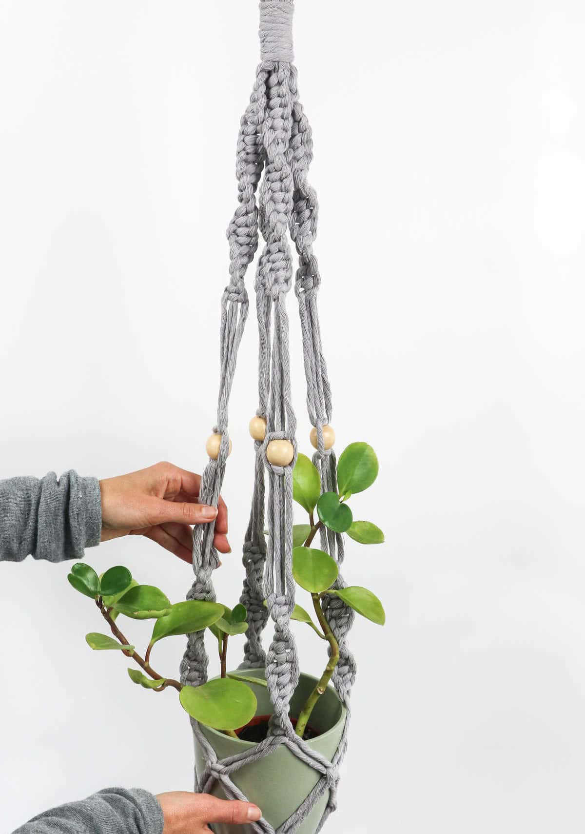 Watch on Youtube: Macrame Plant Hanger