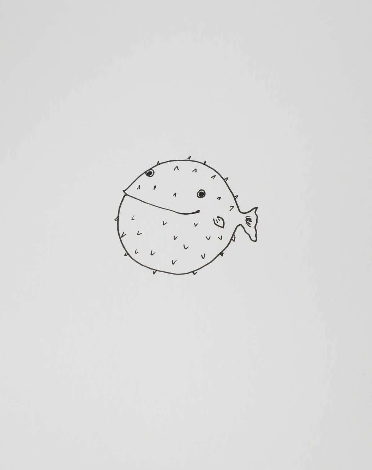 Puffer Fish