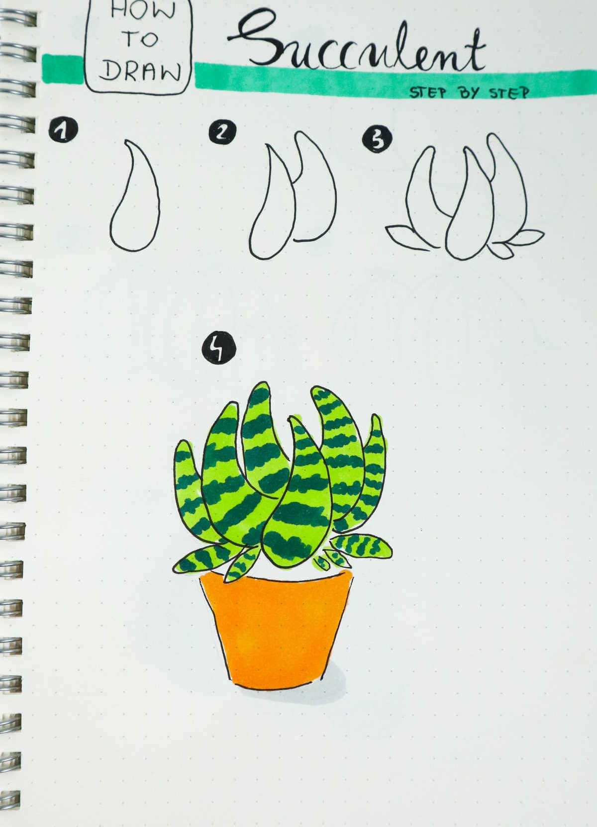 Step-by-step Succulent