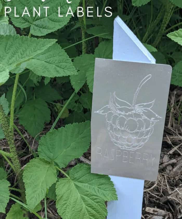 Plant Markers