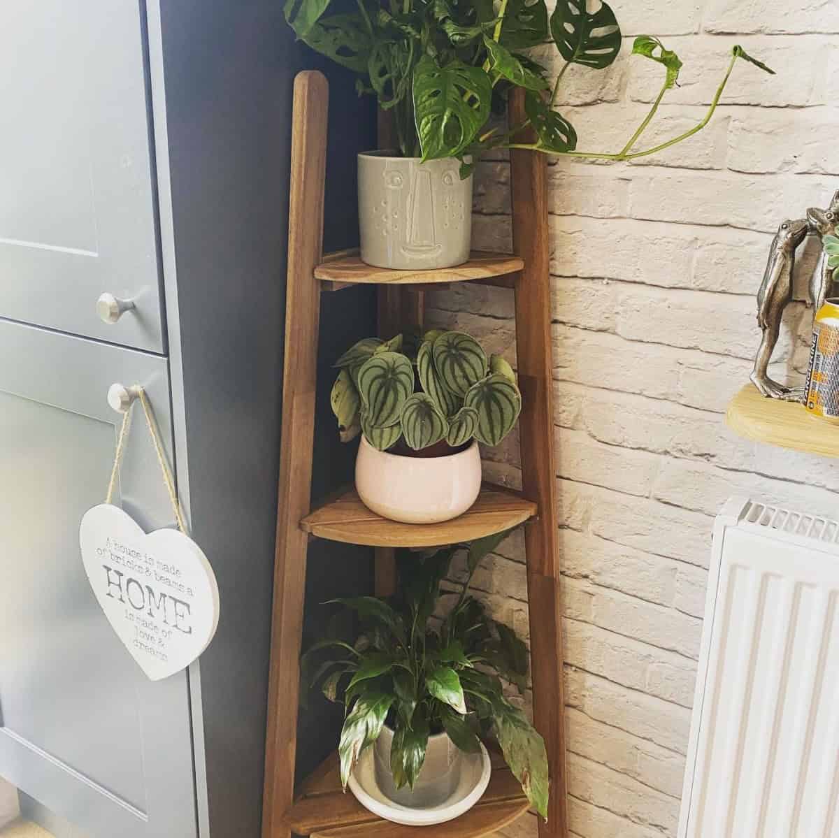 Corner Plant Stand