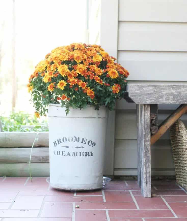 Fall Planters