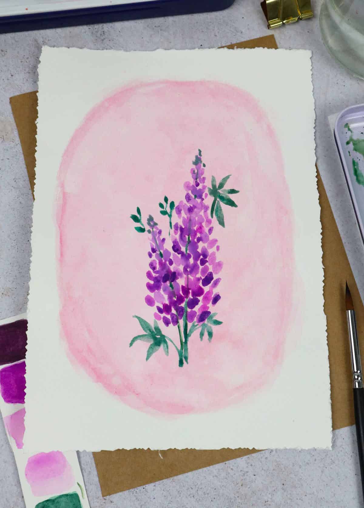 Lupins