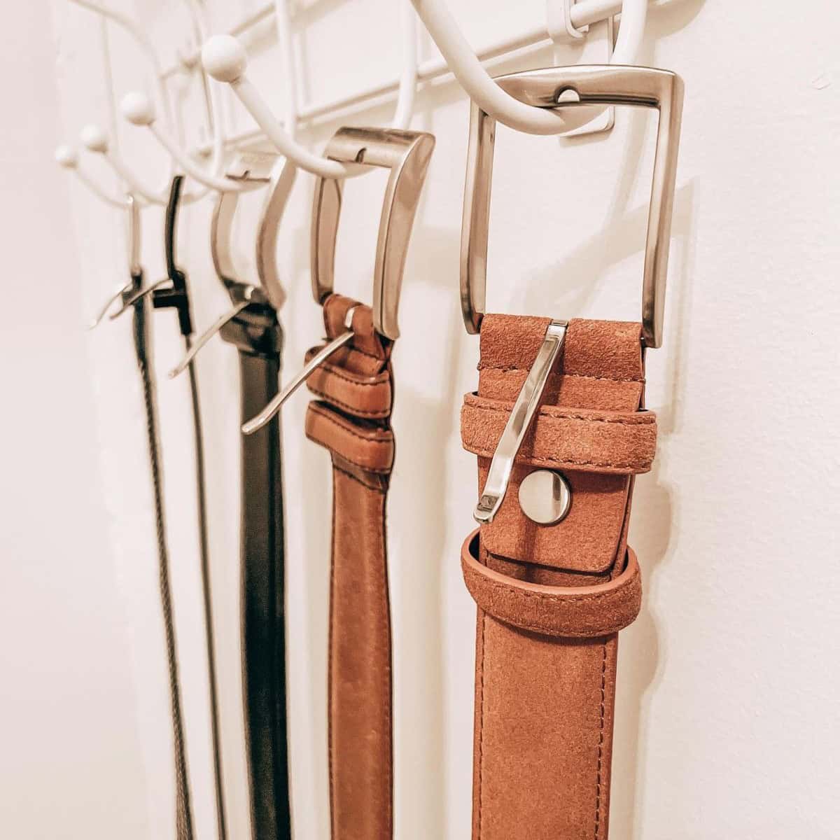 Hooks to Hang Belts