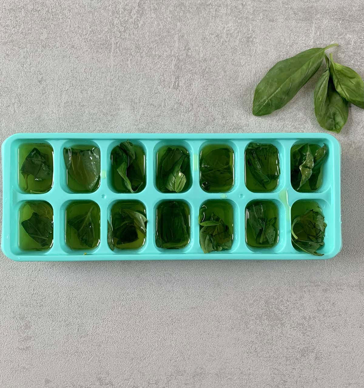 Freeze Fresh Herbs With Olive Oil For Later Use