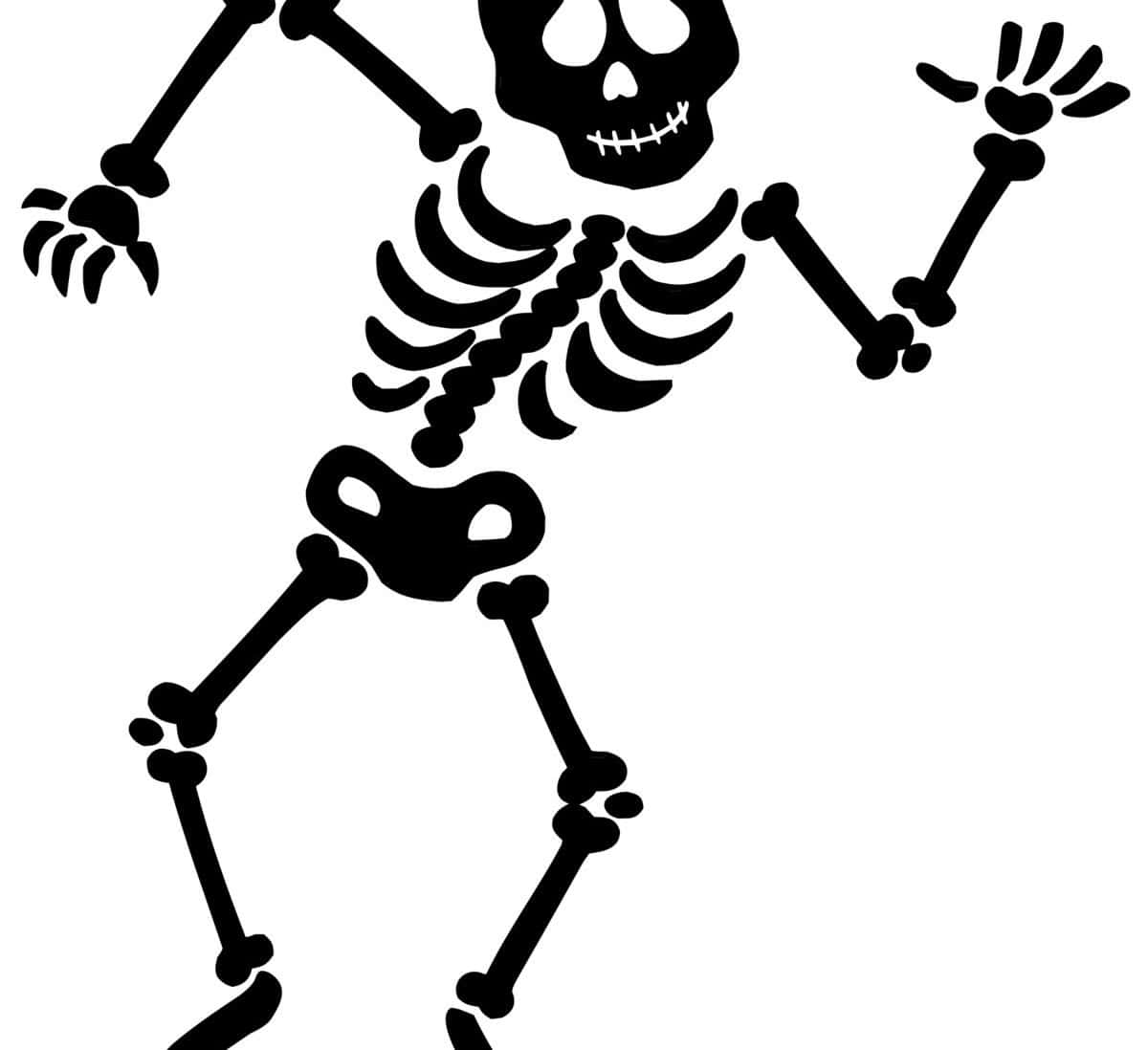 Label a Skeleton worksheet