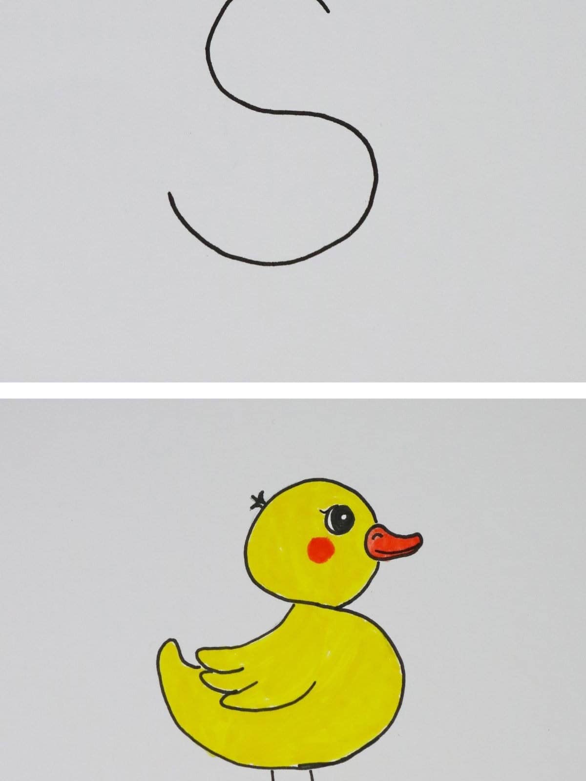 S to Duckling