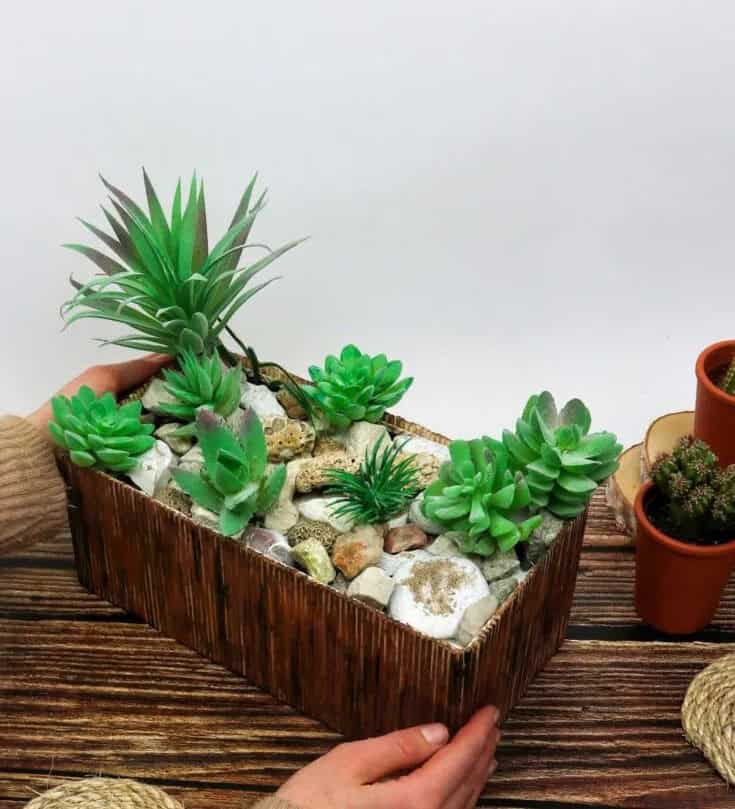 DIY Boho Succulent Planter