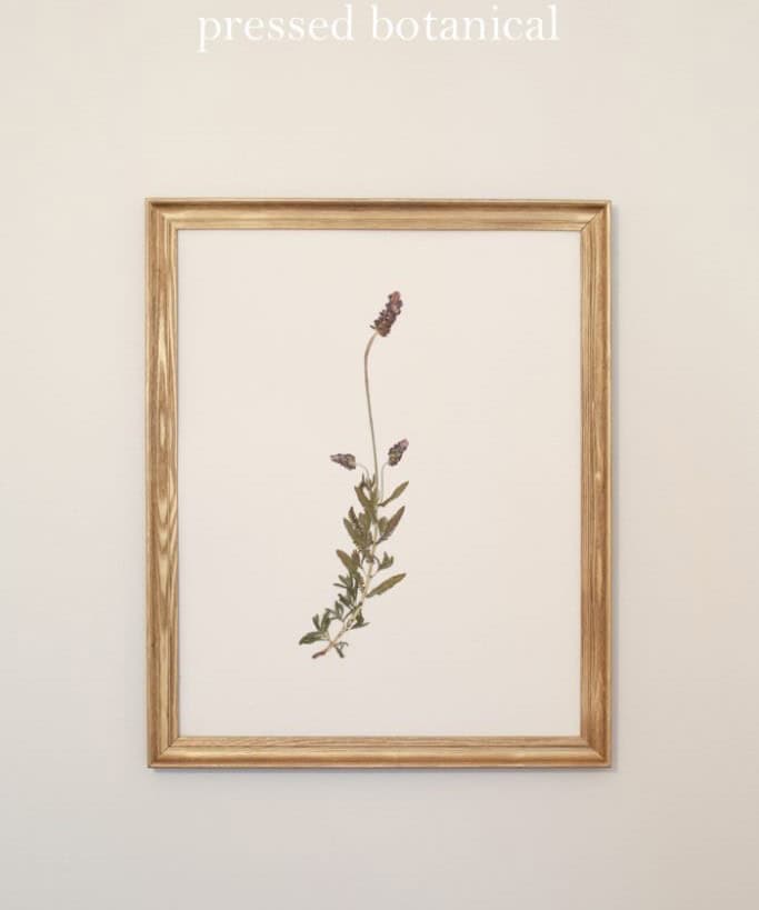 Pressed Botanical Wall Art