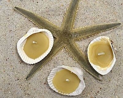 Seashell Candle With Beeswax