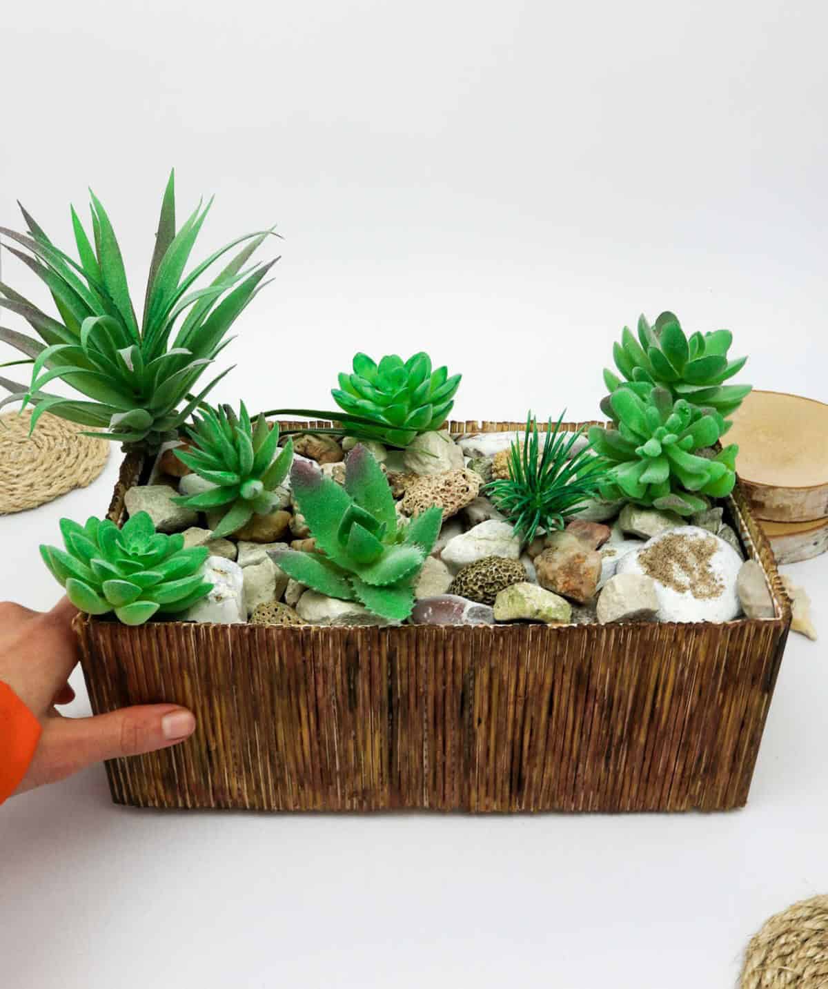 DIY Boho Succulent Planter (Step-by-Step)