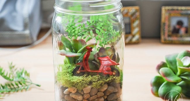 Mason Jar Terrariums