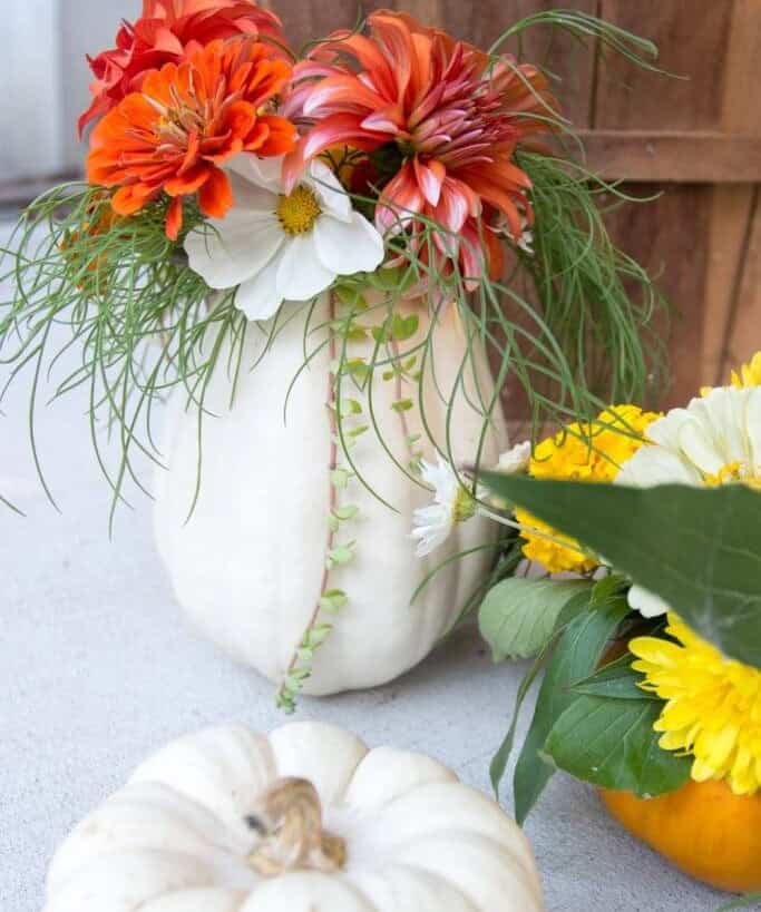 Pumpkin Vases