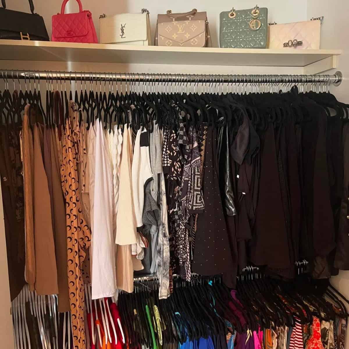 Bag and Purse Shelf