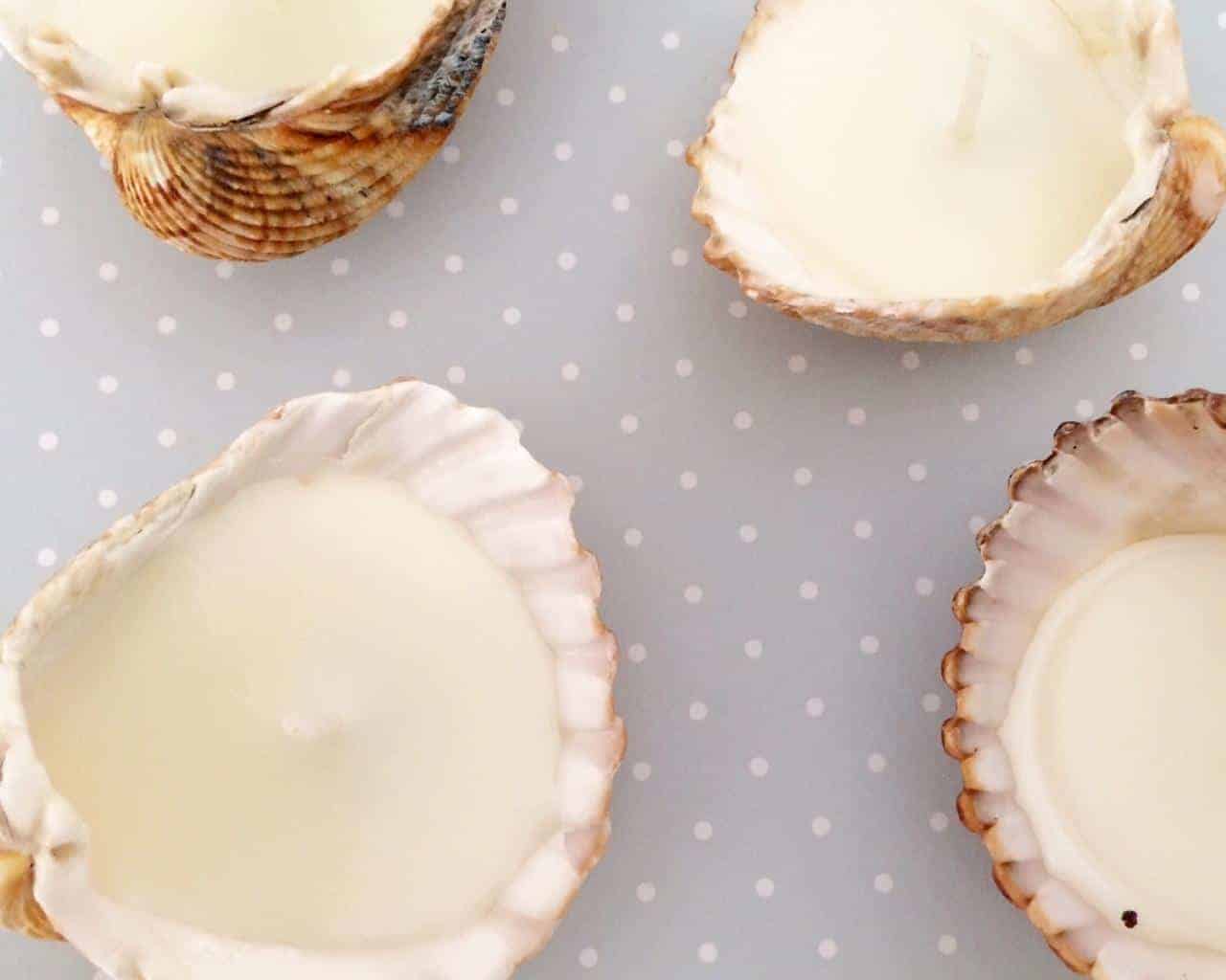 Shell Candles