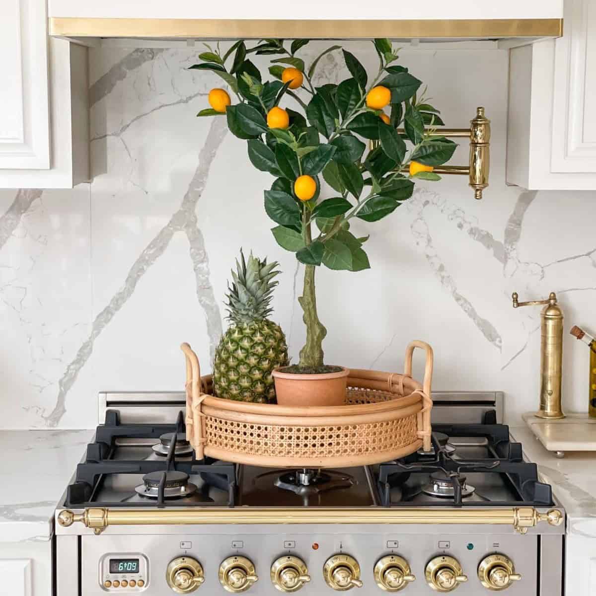 Stovetop Fruit Tree Decor