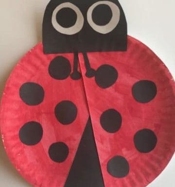 Ladybug Paper Plate