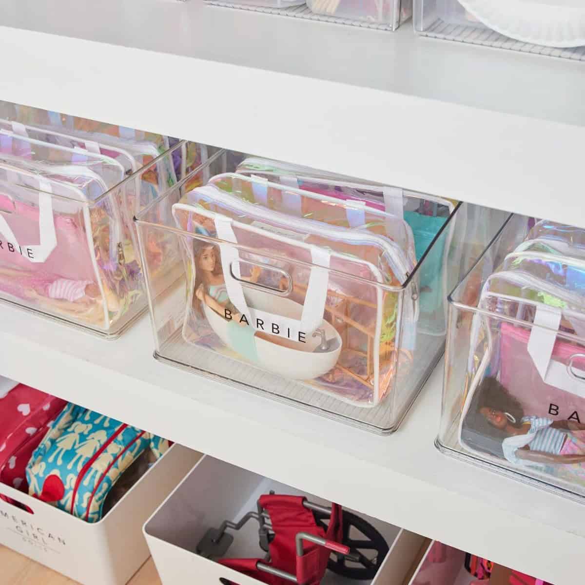 Transparent/Irredescent Bags